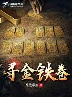 寻金诀小说