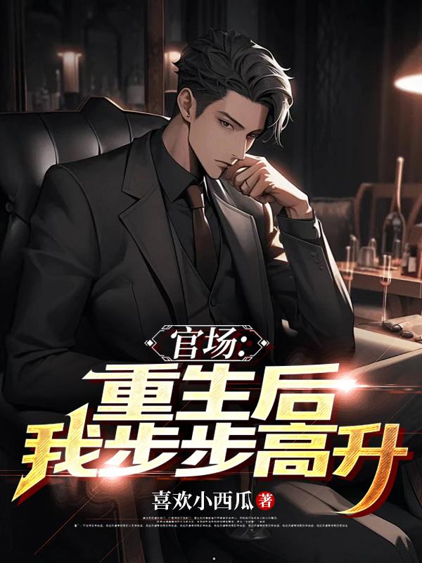 重生之后官场小说