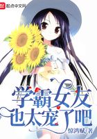 学霸女友也太宠了txt