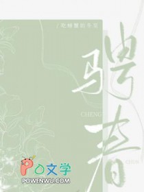 骋兆网络
