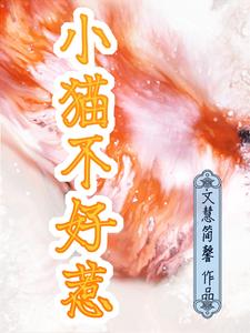 小猫不好好吃饭正常吗