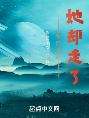 他又走了是什么复句